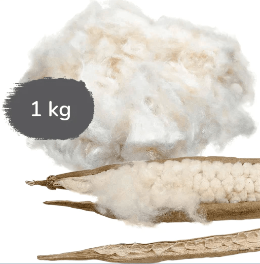 Minky Mooh Kapok 1 kg Stillkissen Füllmaterial, Bio-Qualität, vegan & naturbelassen - Nachfüllpack Minky Mooh® 1kg Kapok-Kissenfüllung 31500